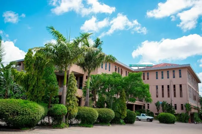 Step 2: Customized proposal for corporate events and conferences in Tanzania